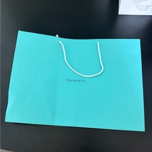 Authentic Tiffany & Co. Large Paper Shopping Bag